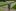 Einer, der gern anpackt: Lothar Vollmer bei Gartenarbeiten
