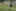 Trainer Mohamed Imharraf sah in Halbzeit 2 ein besseres Spiel seiner Mannschaft