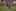 Kopf oben: Patrick Weßel bei der Spieleröffnung