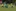 ... und leitet den Ball an seinen Mitspieler weiter