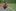 Unzufrieden mit der Leistung seiner Mannschaft in Halbzeit 1: der ehemalige Bielsteiner Trainer Thorsten Lenger