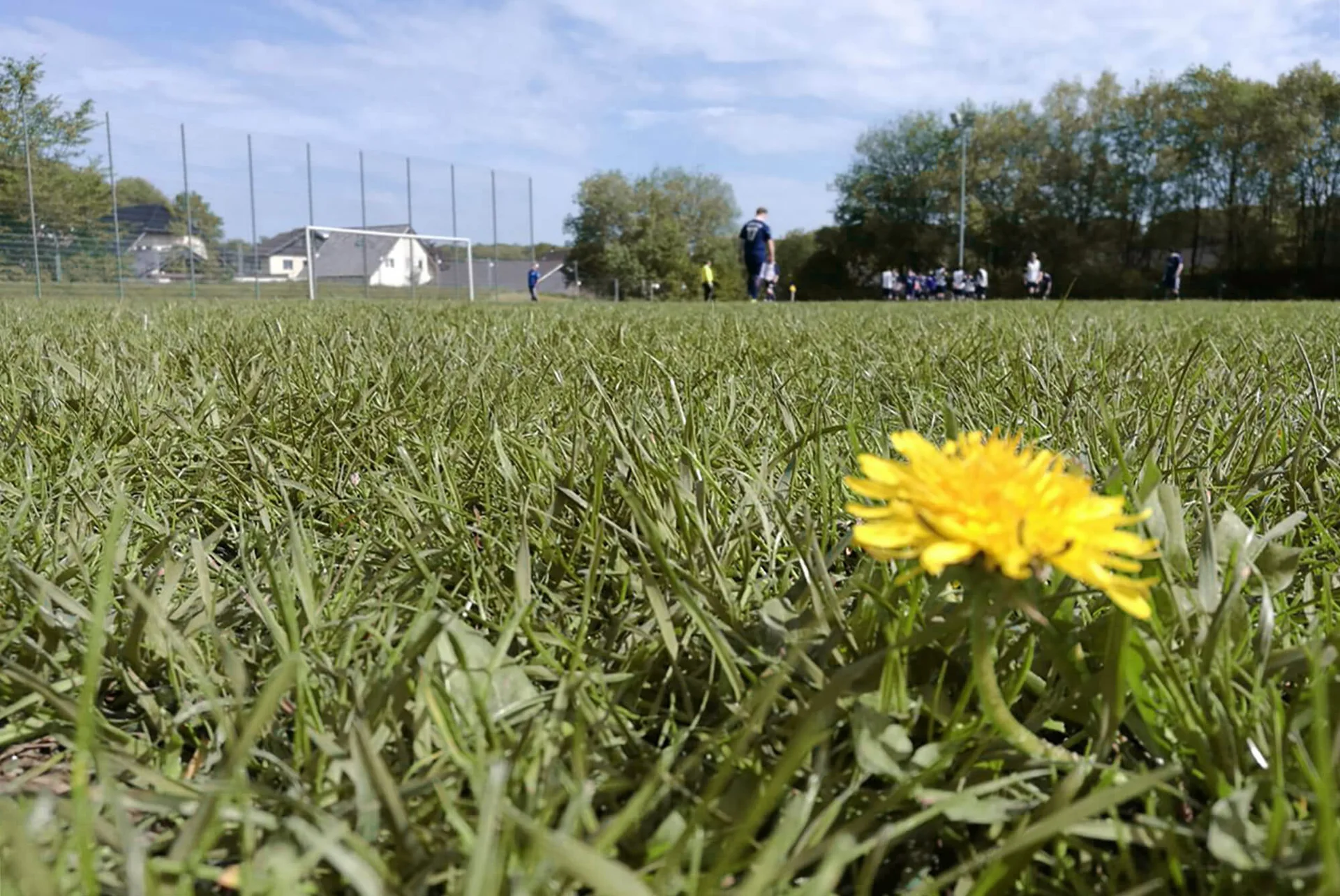 Auf dem gewohnt hervorragenden Hunsheimer Platz war an Fußball nicht zu denken