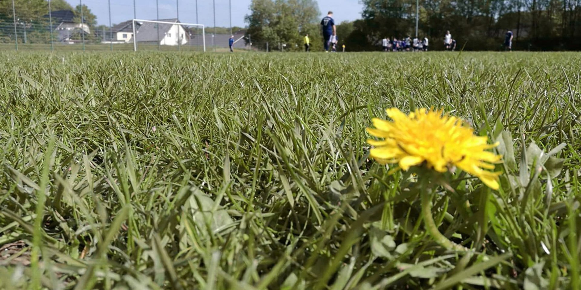 Auf dem gewohnt hervorragenden Hunsheimer Platz war an Fußball nicht zu denken