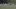 ... zum 5:1 ins Netz