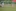 ... zur zwischenzeitlichen 1:0 Führung