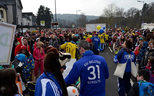 Rosenmontagszug 2015