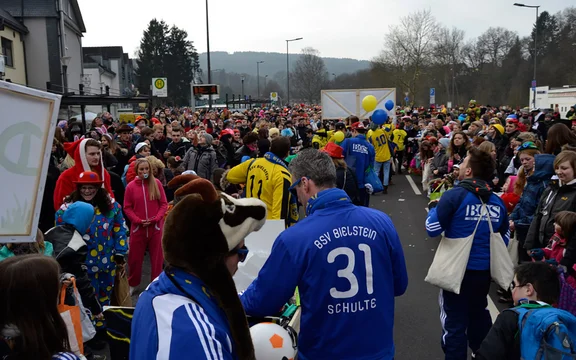Rosenmontagszug 2015