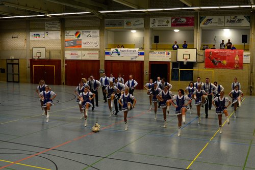 Hopp ... Hopp ...