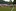 Handshake nach dem Spiel: die Spieler des BSV Bielstein und des 1. FC Köln klatschen sich ab
