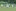 Unsere U17 Mädchen dominierten das Spiel und gewannen daher am Ende auch verdient mit 1:0