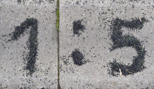 Das Endergebnis des Spiels, geschrieben in Granulatstückchen Das Endergebnis des Spiels, geschrieben in Granulatstückchen
