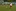 Typischer „Lottner“: die Nr. 8 des 1. FC Köln mit einem langen Ball