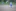 Tokessa beobachtet das Treiben im Hintergrund