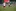 Hühne mit unbekanntem Namen: ein Spieler des 1. FC Köln