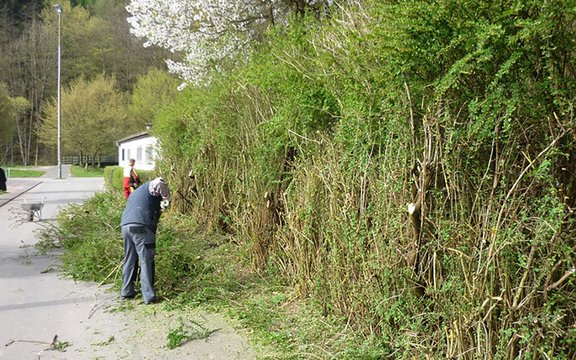 Umwelttag 2011