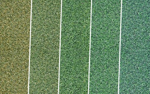 Five Shades of Green: der Fifty-Shades-of-Green-Effekt kommt besonders beim Kunstrasenbelag zum Tragen