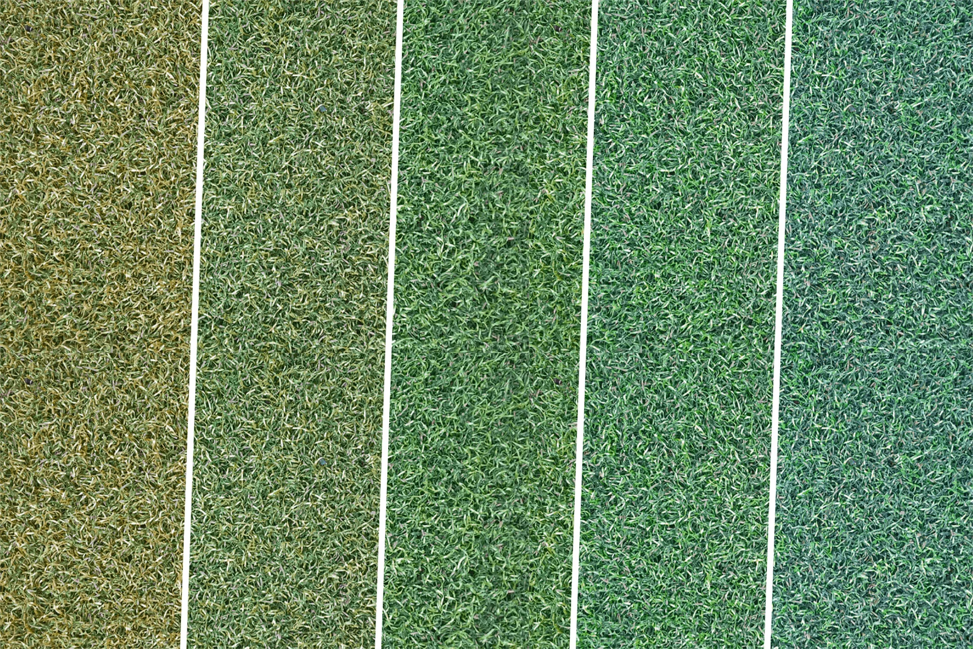 Five Shades of Green: der Fifty-Shades-of-Green-Effekt kommt besonders beim Kunstrasenbelag zum Tragen