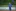Drei Fotografen begleiteten die Mannschaft am Spielfeldrand - hier: Holger (vorne) und Stefan (hinten)