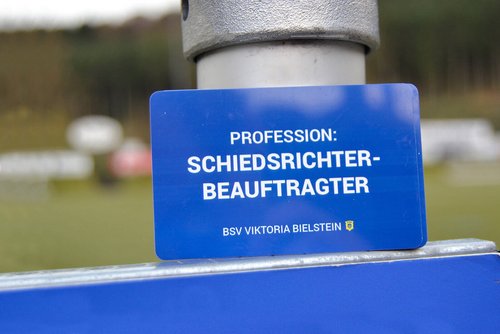 Schiedsrichterbeauftragter