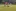 Im Vollsprint Richtung Spielfeldrand ...