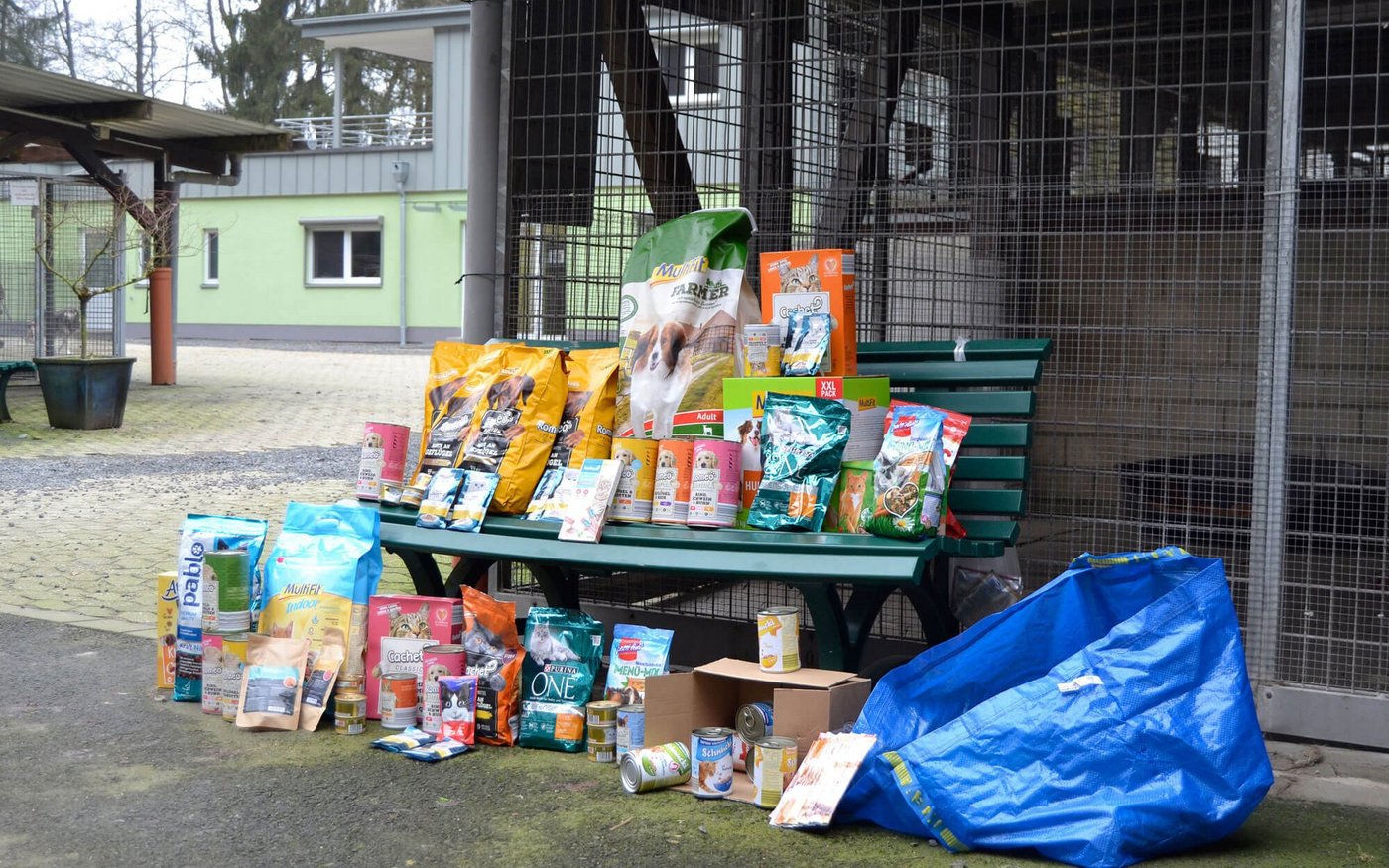 Wir möchten dem Tierheim Koppelweide auch in diesem Jahr wieder etwas Gutes tun und sammeln deshalb Geld-, Sach- und Futterspenden