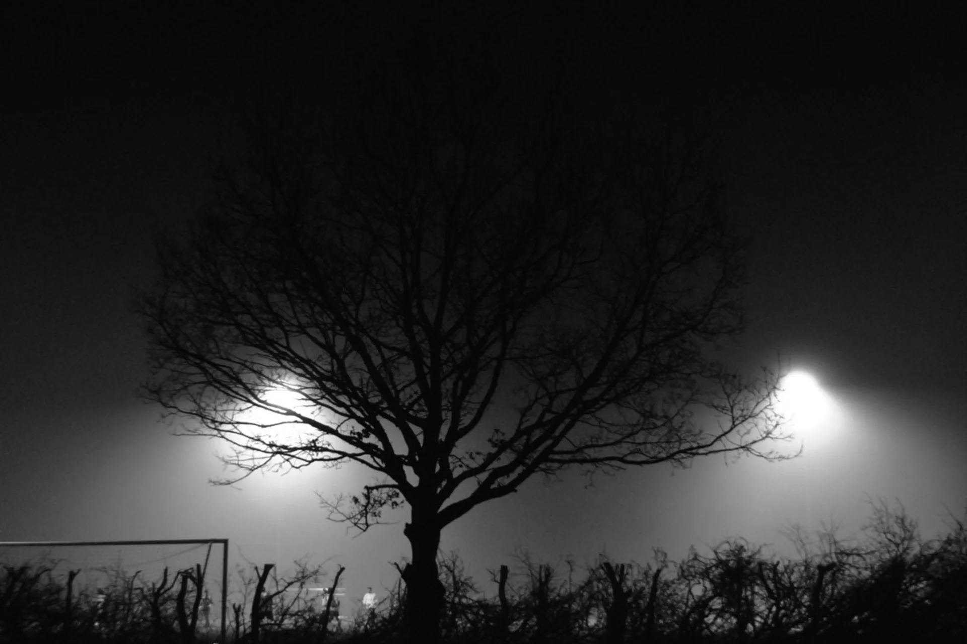 Das Treffen mit Dietmar dauerte bis in die späten Abendstunden und war für viele sehr erkenntnisreich